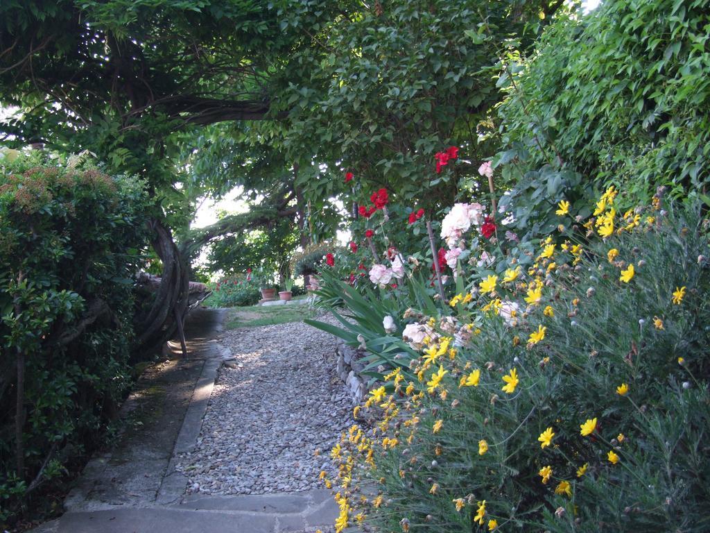 Villa Nobili B&B Баньйо-а-Ріполі Екстер'єр фото